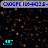 CXOGPE J184422.6-040017