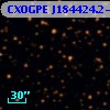 CXOGPE J184424.2-040135