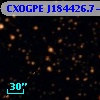 CXOGPE J184426.7-040327