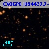 CXOGPE J184427.7-040749