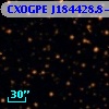 CXOGPE J184428.8-040103