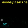GOODS J123617.23+621708.8