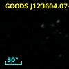 GOODS J123604.07+621535.4