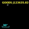 GOODS J123635.82+621902.8