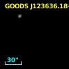 GOODS J123636.18+621910.3