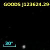 GOODS J123624.29+621735.2