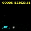 GOODS J123623.61+621729.3