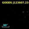 GOODS J123607.23+621540.5