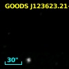 GOODS J123623.21+621727.4
