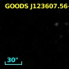 GOODS J123607.56+621532.9