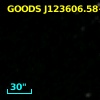 GOODS J123606.58+621504.1
