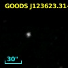 GOODS J123623.31+621643.9