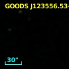 GOODS J123556.53+621330.4