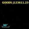 GOODS J123611.23+621503.8