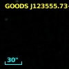 GOODS J123555.73+621312.2