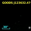 GOODS J123632.47+621730.1