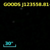 GOODS J123558.81+621330.7