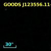 GOODS J123556.11+621300.6