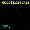 GOODS J123617.55+621520.2