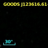GOODS J123616.61+621500.0