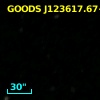 GOODS J123617.67+621504.2