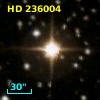 HD 236004