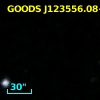 GOODS J123556.08+621222.2