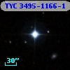 TYC 3495-1166-1