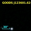 GOODS J123601.62+621234.1