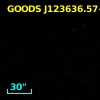 GOODS J123636.57+621636.6
