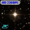 HD 236008