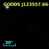GOODS J123557.66+621059.1
