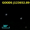 GOODS J123652.89+621726.9