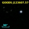 GOODS J123607.57+621131.0
