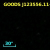 GOODS J123556.11+621003.6