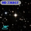 HD 236017