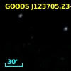 GOODS J123705.23+621717.2