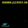 GOODS J123557.56+620926.5