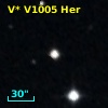 V* V1005 Her