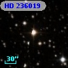 HD 236019