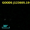GOODS J123605.19+620910.2