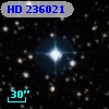 HD 236021
