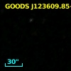 GOODS J123609.85+620826.2