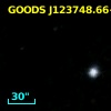 GOODS J123748.66+621920.0