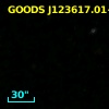 GOODS J123617.01+620826.2