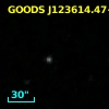 GOODS J123614.47+620726.7