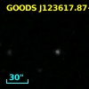 GOODS J123617.87+620731.0