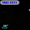 TKRS  8973