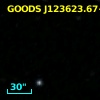 GOODS J123623.67+620617.8