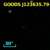 GOODS J123635.79+620713.6